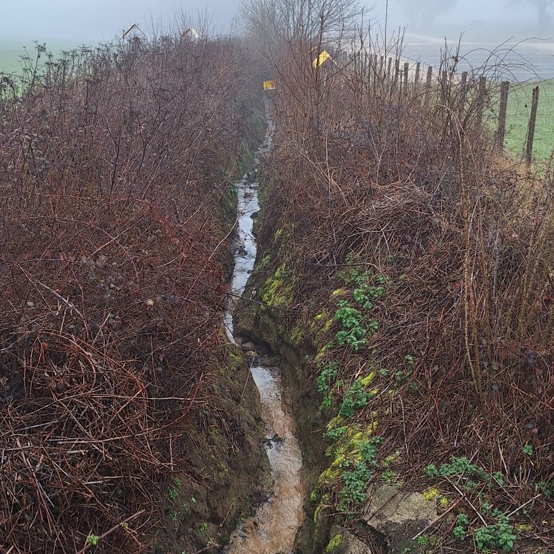 Un petit ruisseau longe un champ en hiver