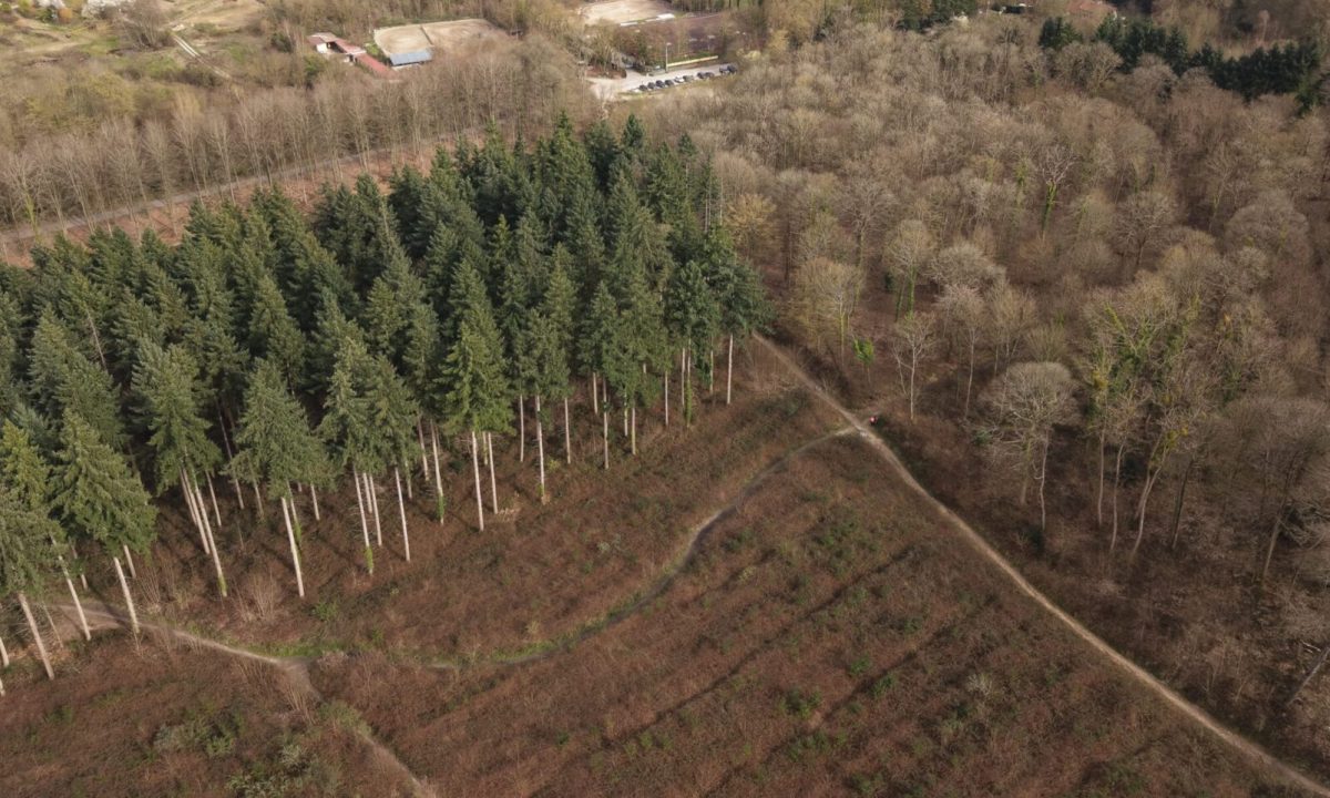 Forêt de Montmorency, vu du ciel