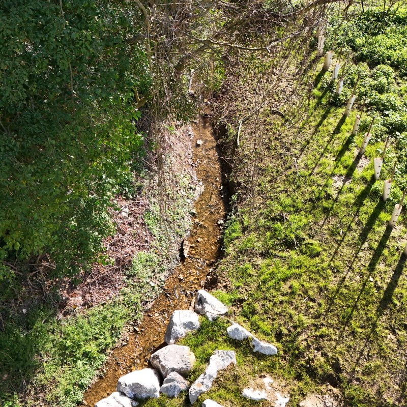 Un petit ruisseau vu du ciel longeant un champ et une forêt