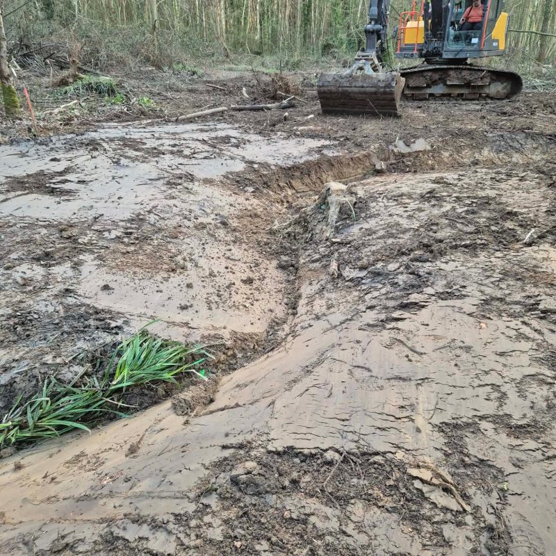 Une pelleteuse dans la forêt avec de la boue
