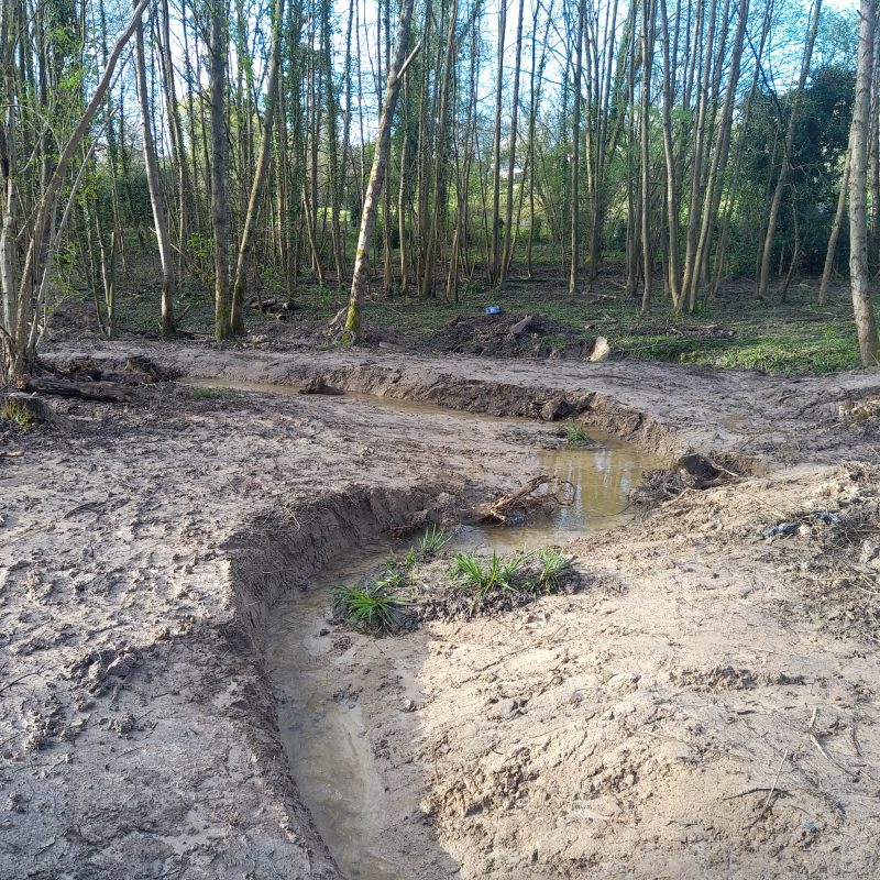 Un chantier dans la forêt avec de la boue