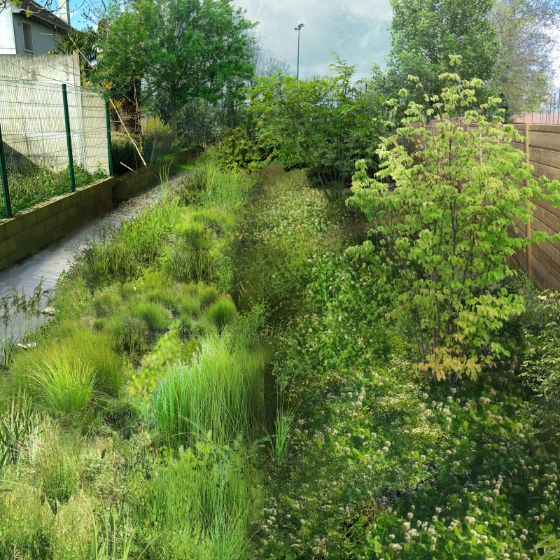 Esquisse représentant le réaménagement d'un cours d'eau