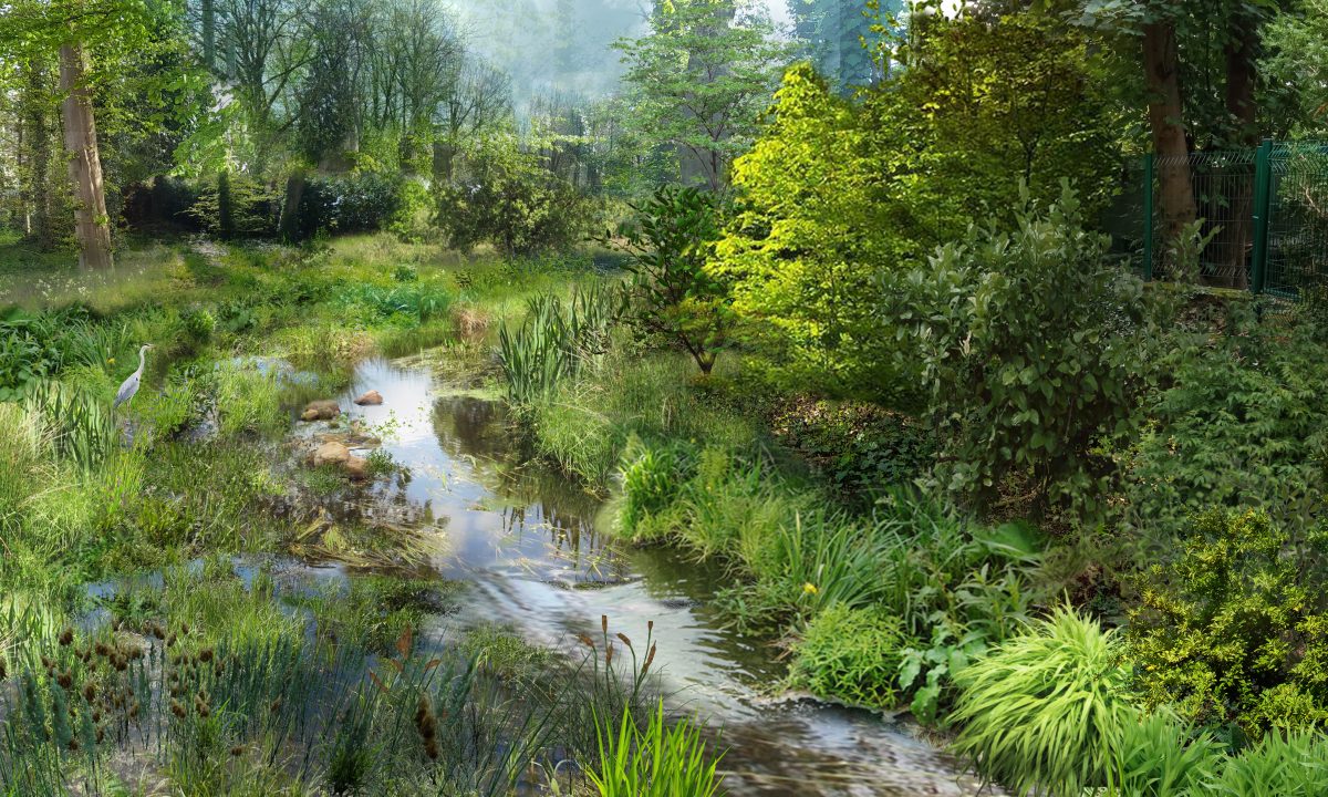 Esquisse représentant le réaménagement d'un cours d'eau