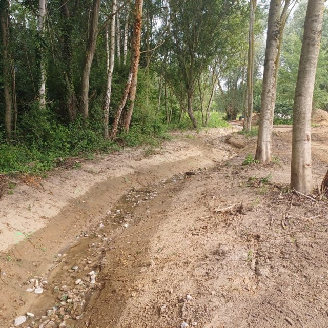 Un petit ruisseau longe la forêt