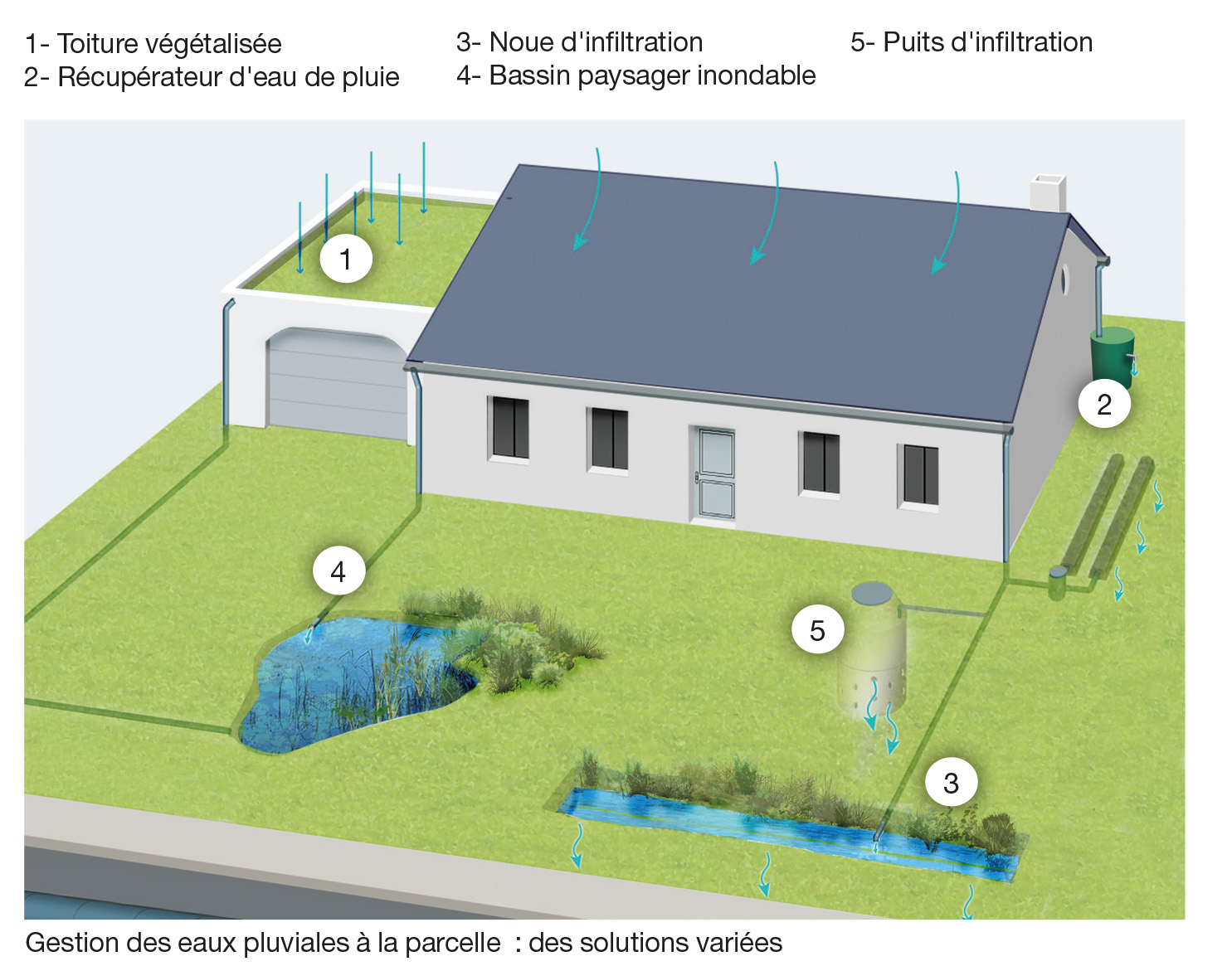 Les Caillaudières : zéro tuyau pour gérer les eaux pluviales -  Montaigu-Vendée