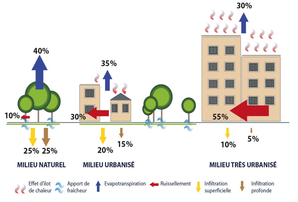 Impact de l'urbanisation dans le processus d'infiltration, d'évaporation et de ruissellement