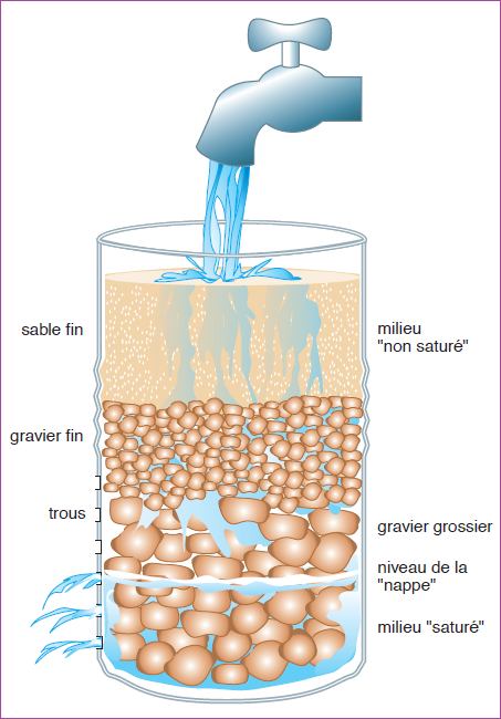 Schéma Infiltration de l'eau dans le sol