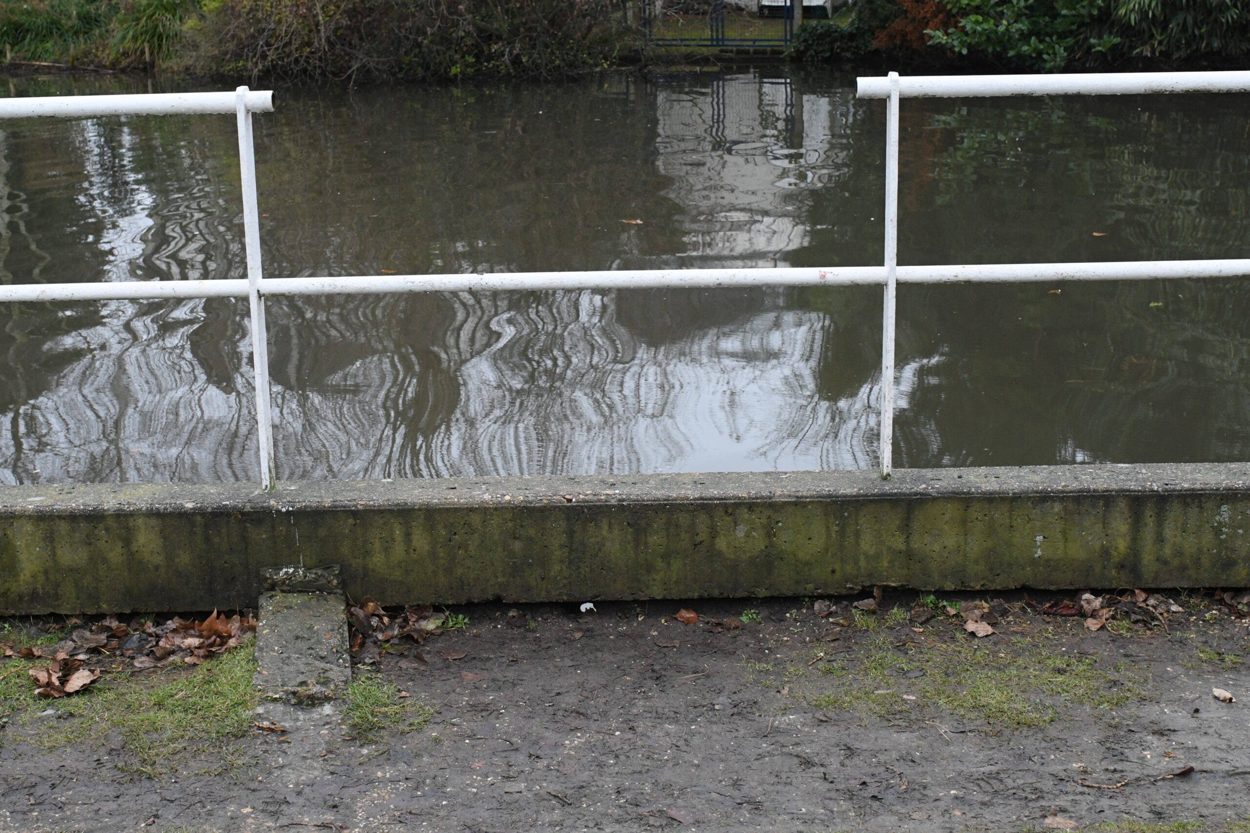État des berges du lac nord avant travaux